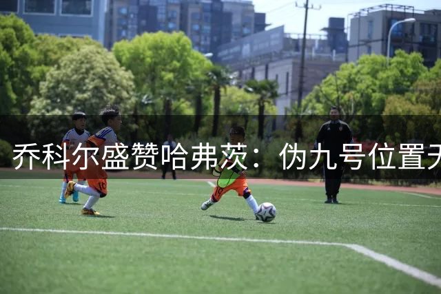 乔科尔盛赞哈弗茨：伪九号位置无人能及